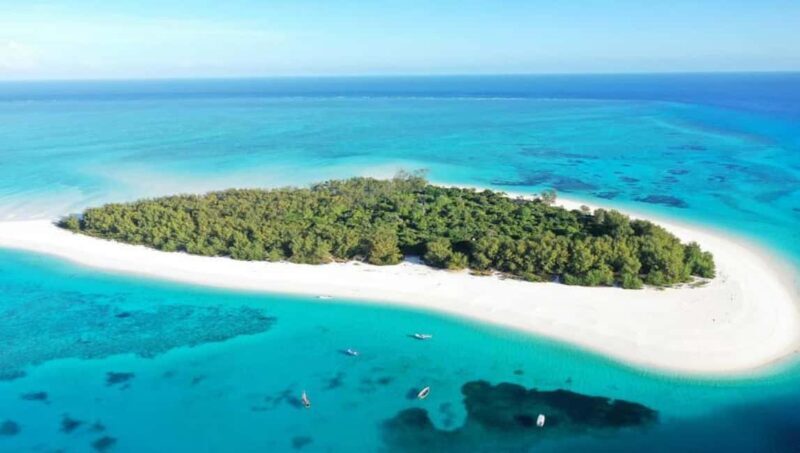From Zanzibar: Mnemba Boat Trip Dolphins Adventure trip - Potential Drawbacks