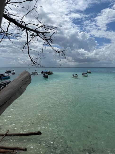 From Zanzibar: Prison Island With Nakupenda Tour - Key Points