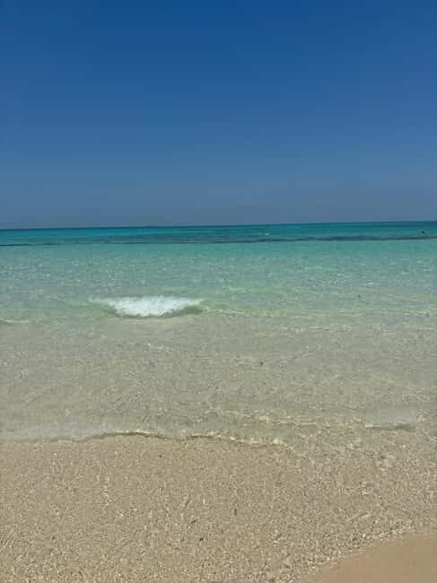 From Zanzibar: Prison Island With Nakupenda Tour - The Experience: From Practical Details to the Joys of the Journey