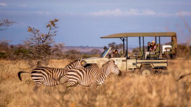 From Zanzibar: Safari Day Trip Selous Game Reserve - From Zanzibar: Safari Day Trip Selous Game Reserve — A Complete Review