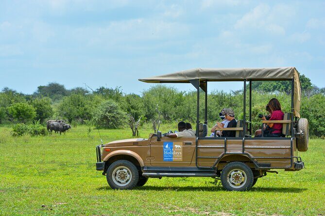 From Zanzibar: Selous Game Reserve Day Safari with Flights - Practical Tips for Making the Most of This Tour