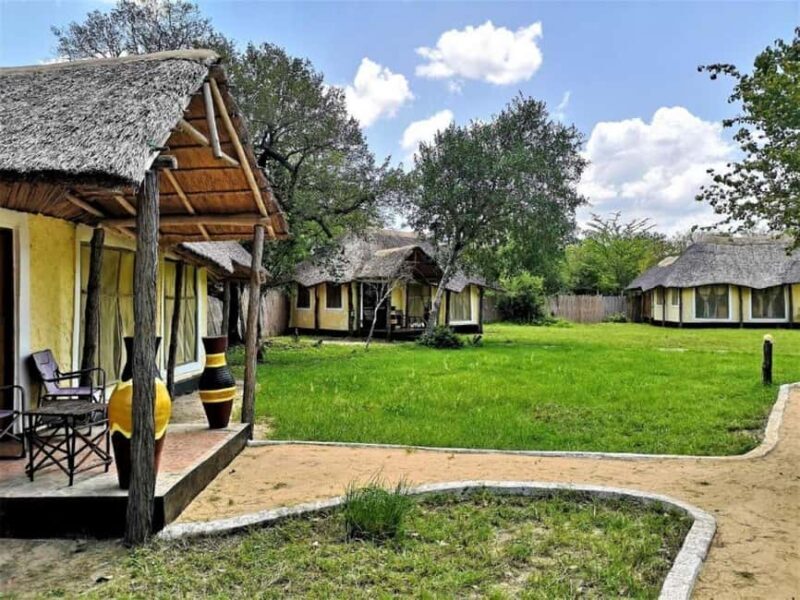 From Zanzibar: Selous Game Reserve Full-Day Safari - Is It Worth the Price?