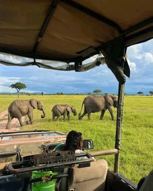 From Zanzibar:2 Nights& 1 day MIKUMI NATIONAL PARK (3 DAYS ) - Who Is This Tour Best Suited For?