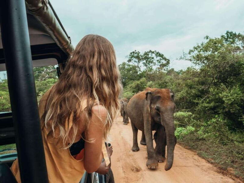 From:Mirissa/Galle/Hilkaduwa with Udawalawe safari - What You Can Expect from the Tour