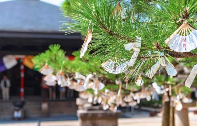 FromOsaka/Kyoto:Hiroshima & Miyajima Private Tour with Lunch - Return Journey and Drop-offs