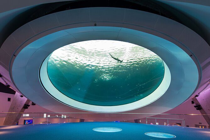 Frost Science Museum Admission Tickets - Exploring the Frost Science Museum: What You Can Expect