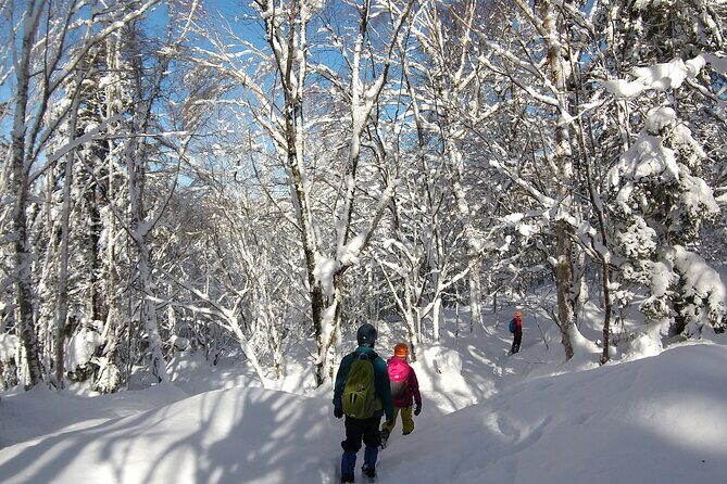 Frozen fall trekking - Who Will Love This Tour?