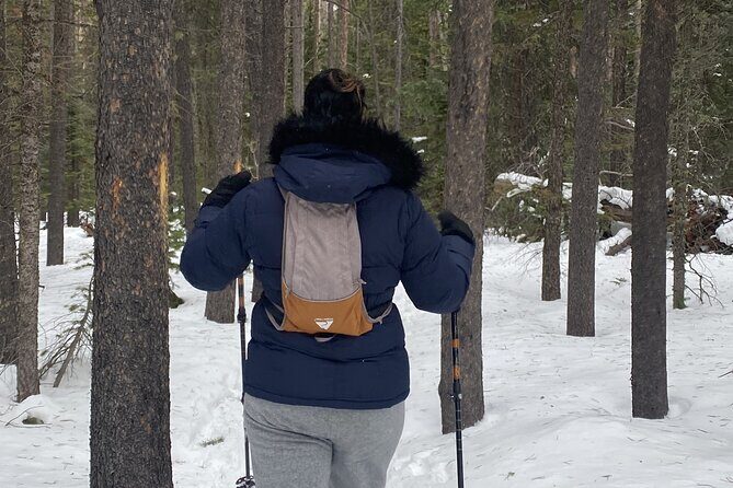 Frozen Waterfall Snowshoe Tour Estes Park - The Sum Up