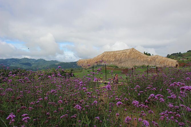Fruiful Oneday! Trip outskirt of a City from end to end - Introduction