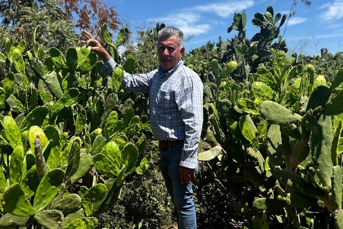 Fruit Garden and Mezcal Tasting Tour with Lunch Included - Key Points