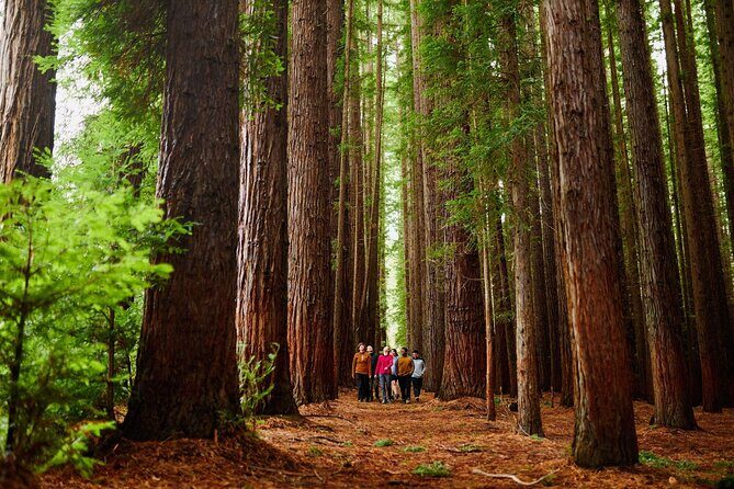 Fruit Picking & Nature Private Tour Yarra Valley & Warburton - Introduction