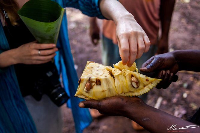 Fruits & Spices Adventure - Key Points
