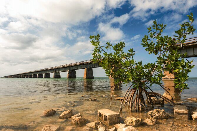 Ft. Lauderdale to Key West Day Trip Quality Day Tours - The Value of This Experience