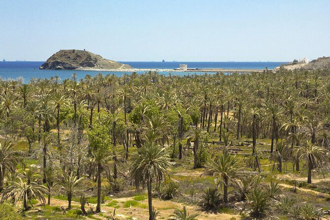 Fujairah Full-Day Tour from Dubai With Spanish-Speaking Guide - The Sum Up