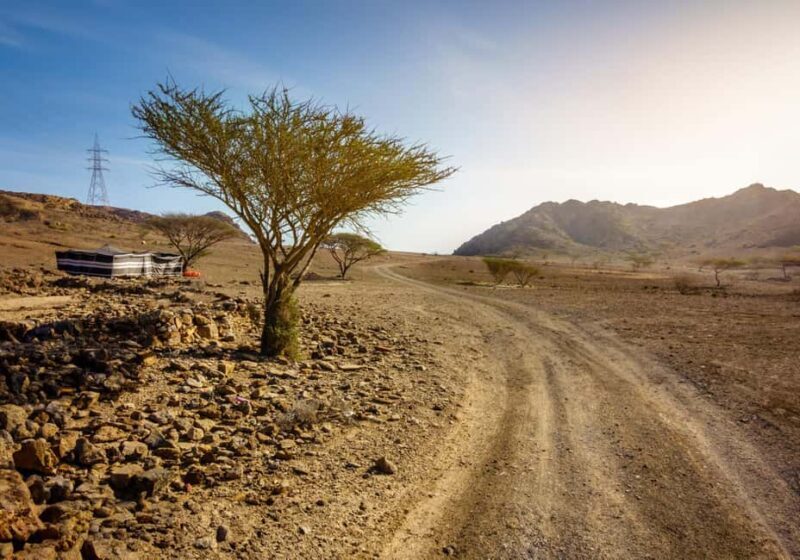 Fujairah Mountains Off Road Wadi Tour - An In-Depth Look at the Fujairah Mountains Off Road Wadi Tour