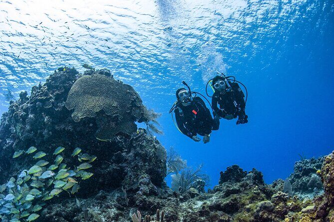 Fujairah: PADI Open Water Diver Course - What Is the Fujairah PADI Open Water Diver Course?