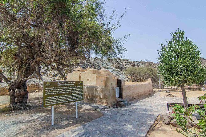 Fujairah Private day trip from Dubai with Lunch - Final Thoughts