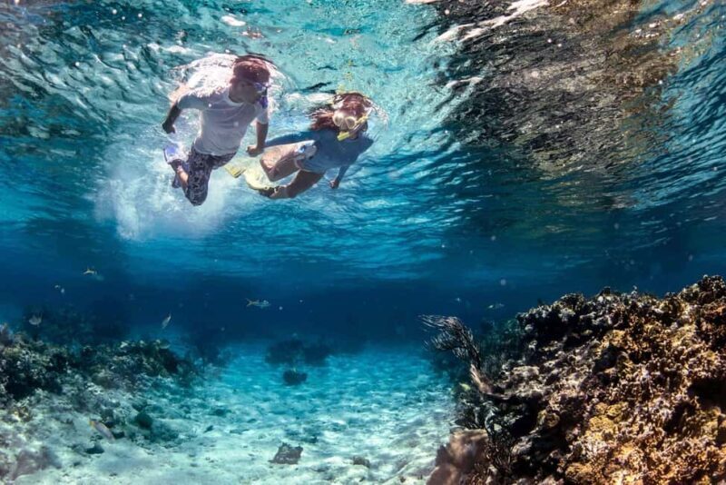 Fujairah: Snorkeling Trip with Equipment - Authentic Experiences and Highlights