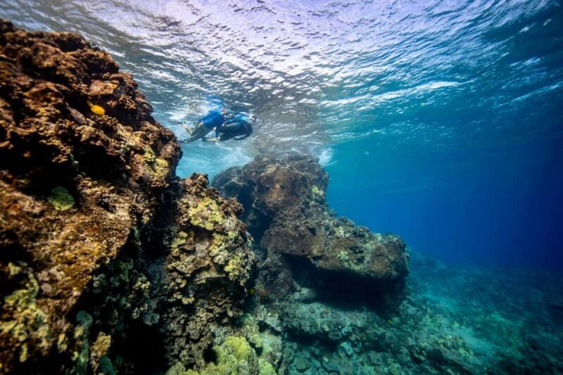 Fujairah: Snorkeling Trip with Equipment - The Sum Up: Who Will Love This Experience?