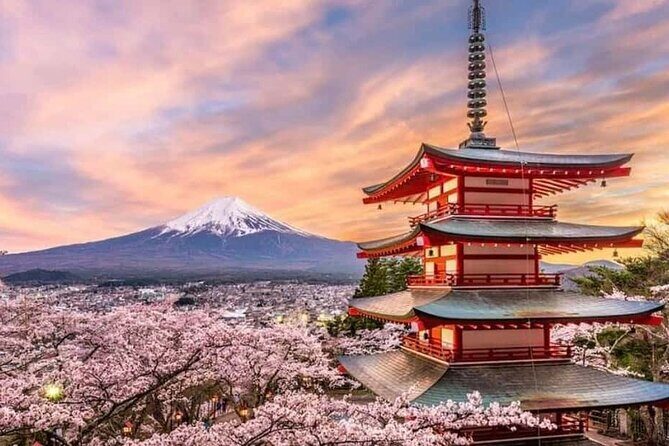 Fuji and Hakone Private Tour with English Guide and Photography - Exploring the Fuji and Hakone Private Tour: A Honest Look