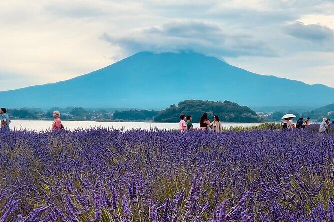 Fuji and Hakone Private Tour with English Guide and Photography - Key Points