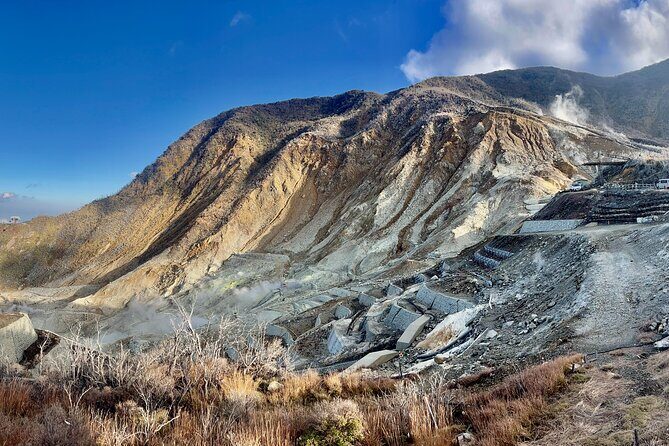 Fuji and Hakone Private Tour with English Guide and Photography - FAQ