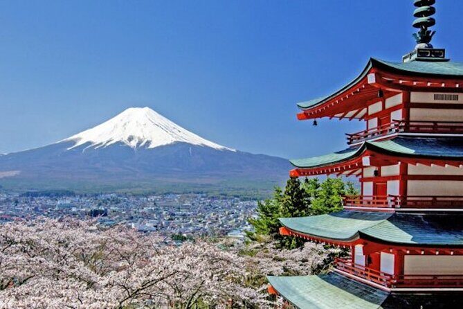 Fuji Speedway Self Drive & Mt. Fuji Private Tour pickup on LEXUS - A Closer Look at What This Tour Offers