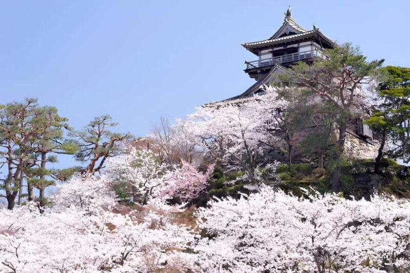 Fukui: Maruoka Castle Admission Ticket - The Sum Up: Who Will Love This Experience?