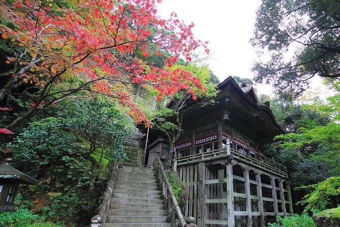 Fukui private full day/Photoshoot by professional photographer - The Sum Up: Who Will Love This Tour?