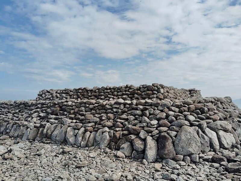 Fukuoka: Cats Island, Ainoshima Guided Tour from Hakata - Who Will Love This Tour?