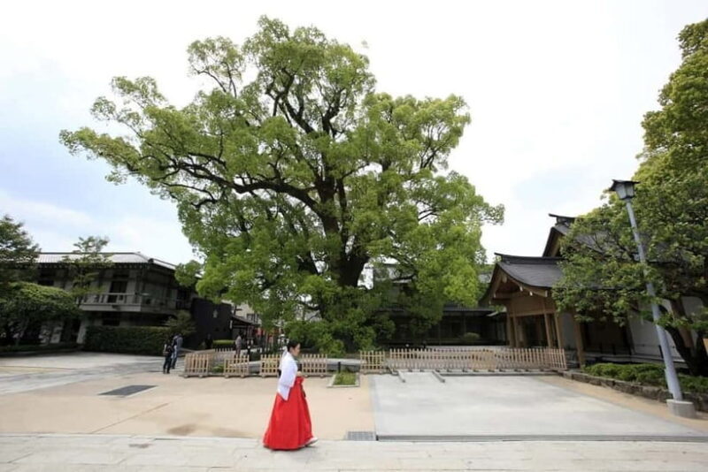 Fukuoka: Dazaifu Tenmangu 2-hour Guided Tour - Key Points