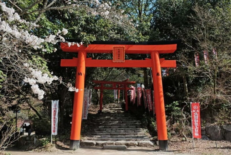 Fukuoka: Dazaifu Tenmangu 2-Hour Private Guide Tour - Final Thoughts