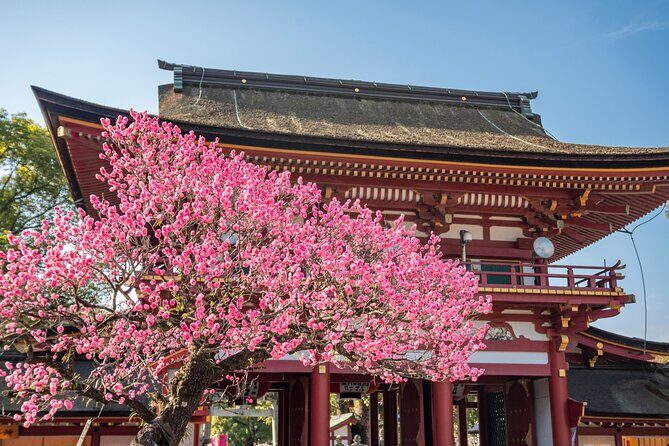 Fukuoka for First Timer: Food, Culture, Historic One Day Tour - Transportation and Timing: Making City Travel Easy