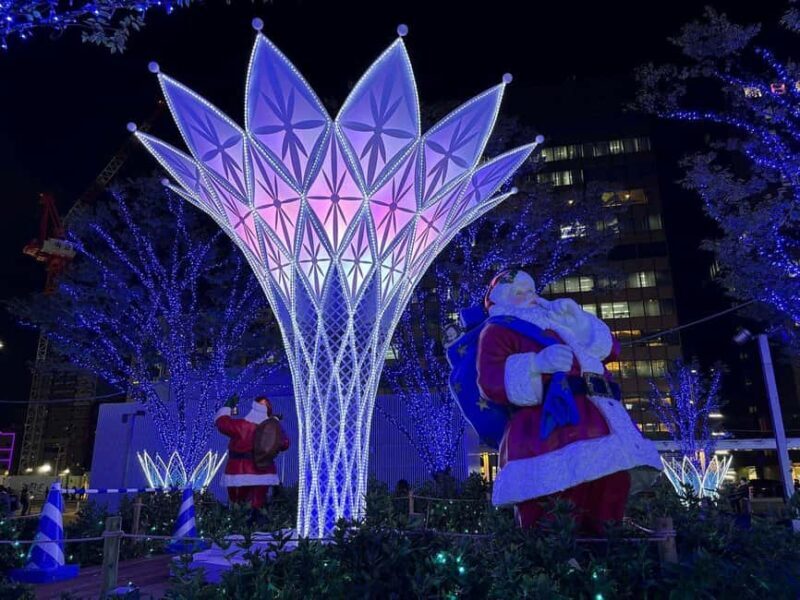 Fukuoka: Hakata & Tenjin Christmas Markets Walking Tour - Who Will Enjoy This Tour?