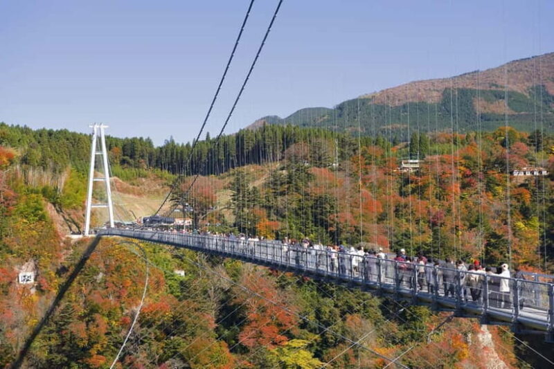 Fukuoka: Kyushu Autumn Yabakei, Kokonoe Yume Brdg. & Dazaifu - What to Expect on This Autumn Tour