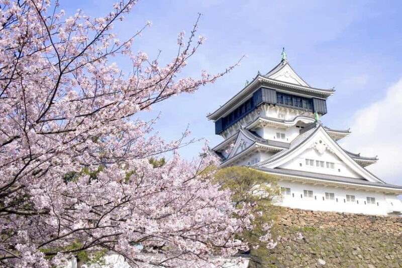 Fukuoka: Mojiko Port, Kokura Castle & Shrine 1-Day Trip - Transport, Timing, and Group Dynamics