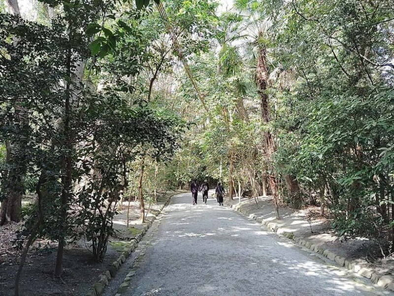 Fukuoka: Munakata Taisha Shrine Guided Tour UNESCO Site - The Museum and Its Significance