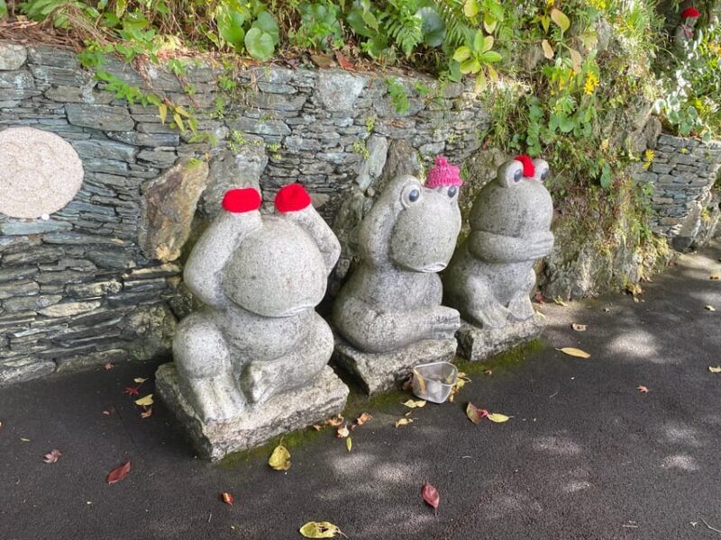 Fukuoka: Nanzoin Temple and Reclining Buddha Guided Tour - An In-depth Look at the Nanzoin Temple Experience