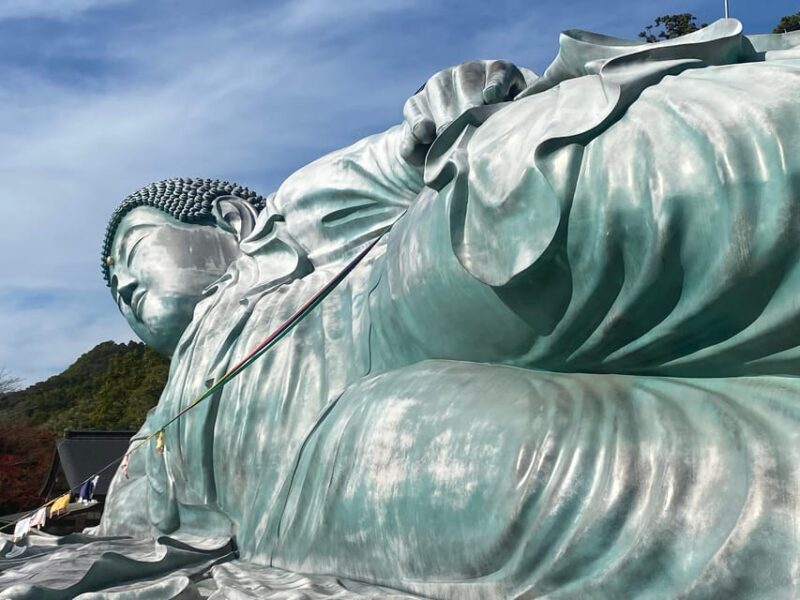 Fukuoka: Nanzoin Temple and Reclining Buddha Guided Tour - Who Should Consider This Tour?