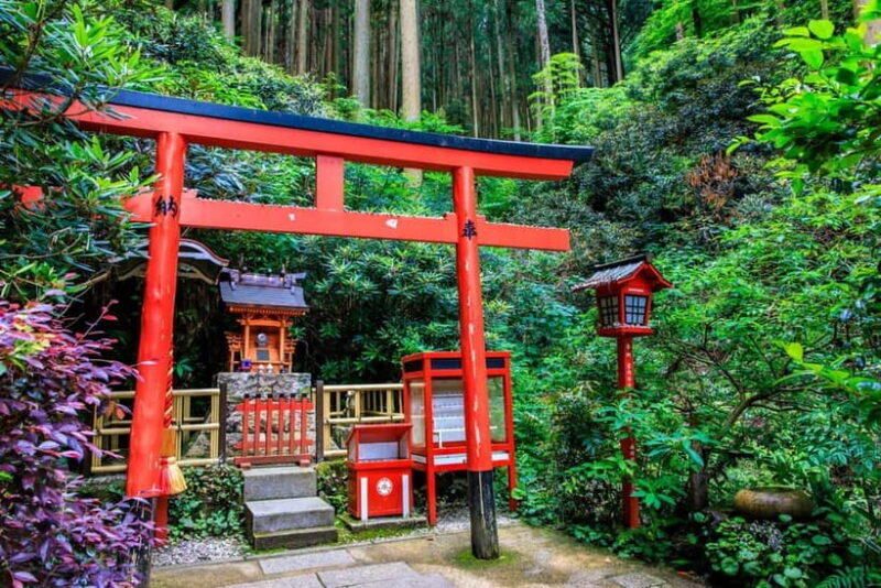Fukuoka: Nanzoin Temple & Reclining Buddha Guided Tour - Evaluating the Value