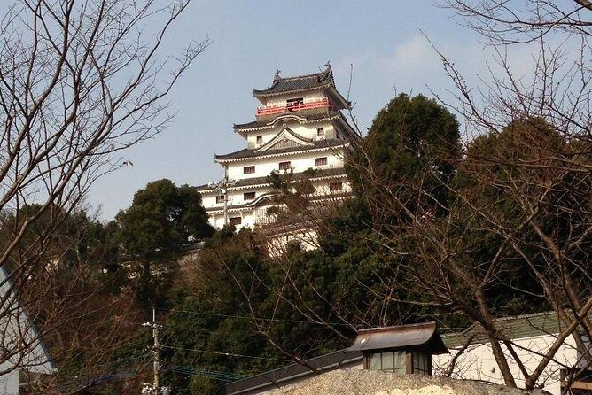 Fukuoka Nature and Cultural Sightseeing Tour - Authenticity and Value: What Reviewers Say