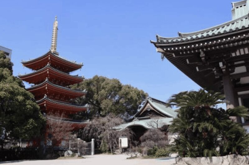 Fukuoka Private Custom Tour with Local Guide - The Sum Up: Why Choose This Tour?