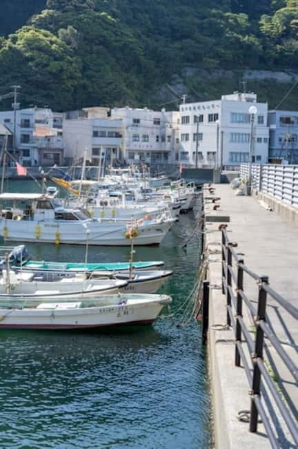 Fukuoka: Private Fishing Tour with Captain and Gear - The Practical Details