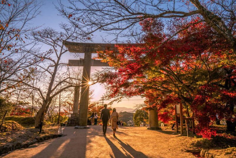 Fukuoka: Seafood Market and Local Flavors Tour with Dazaifu - FAQ