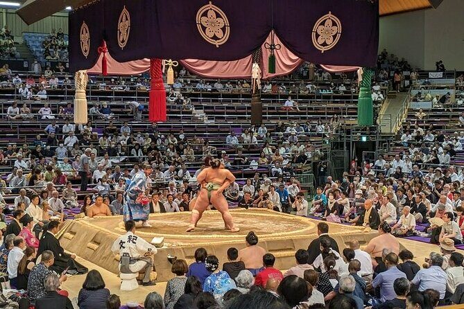 Fukuoka Sumo Tournament November 2025 with a Sumo Expert Guide - Introduction