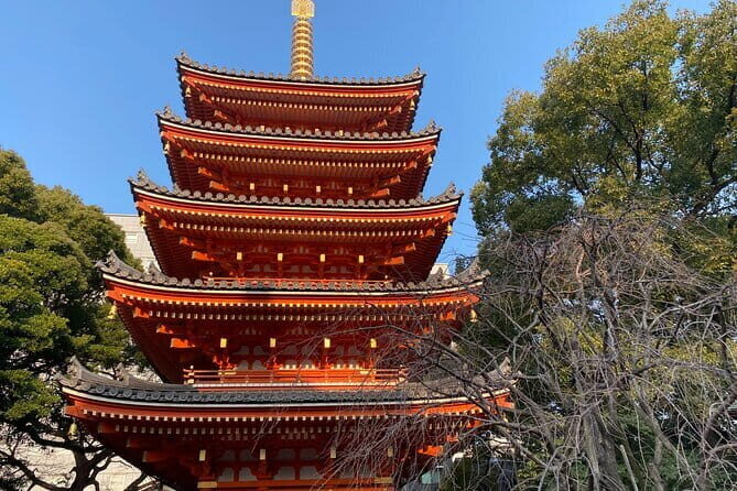 Fukuoka Takachiho Gorge, Amano Iwato and Scenic Train Tour - FAQ
