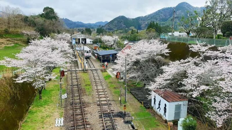 Fukuoka: Takachiho Gorge & Scenic Railway One Day Tour - Practical Details and Tips for Your Day