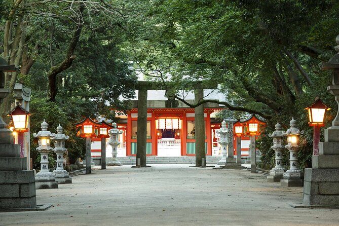 Fukuoka Your Way: 100% Customisable Private Tour with Local Guide - Key Points