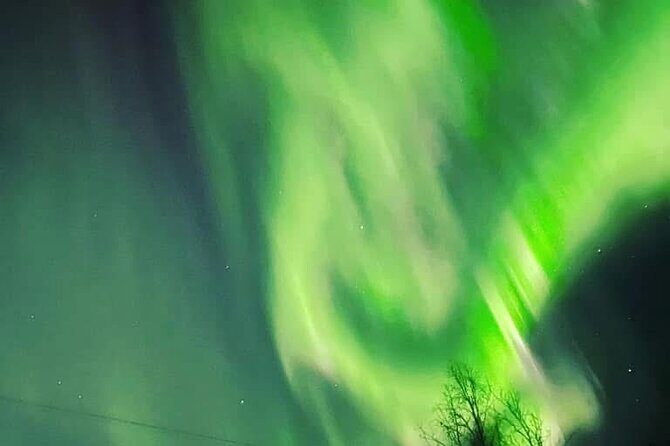 Full Alaskan Experience - Concluding Thoughts