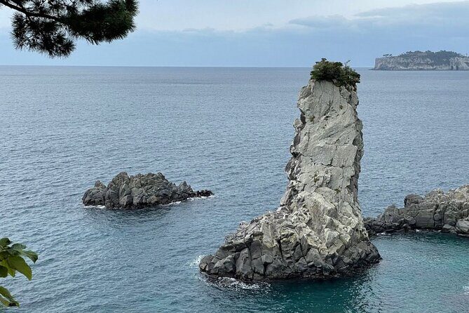 Full Day 12 hours whole Jeju Island private flexible tour - Final Thoughts: Who Is This Tour Best For?